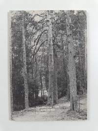 Kansallispuistot