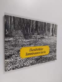 Ekenäsbilder = Tammisaaren kuvia