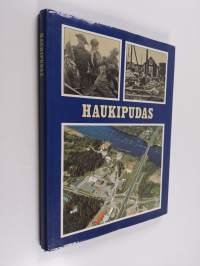 Haukipudas