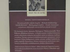 Tähdet kertovat, komisario Palmu!
