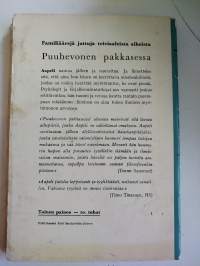 Puuhevonen pakkasessa
