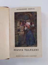 Musta tulpaani