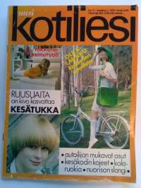 Kotiliesi N:o 11 kesäkuu 19733 (Mannila)