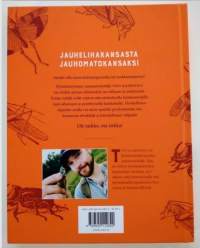 Hyönteiskokki