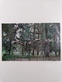 Retki suveen ja taiteeseen = A journey into the summer and the world of art