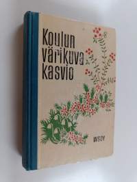 Koulun värikuvakasvio