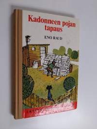 Kadonneen pojan tapaus