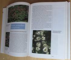 Suomalainen piha ja puutarha, Puutarhan suunnittelu ja rakentaminen, Koristekasvit, Hyötypuutarha