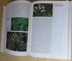 Suomalainen piha ja puutarha, Puutarhan suunnittelu ja rakentaminen, Koristekasvit, Hyötypuutarha