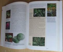 Suomalainen piha ja puutarha, Puutarhan suunnittelu ja rakentaminen, Koristekasvit, Hyötypuutarha