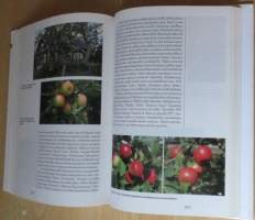 Suomalainen piha ja puutarha, Puutarhan suunnittelu ja rakentaminen, Koristekasvit, Hyötypuutarha