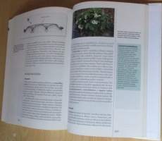 Suomalainen piha ja puutarha, Puutarhan suunnittelu ja rakentaminen, Koristekasvit, Hyötypuutarha