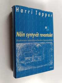 Näin syntyvät revontulet : kertomus taiteilijaveljesten lapsuudesta