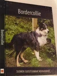 Bordercollie