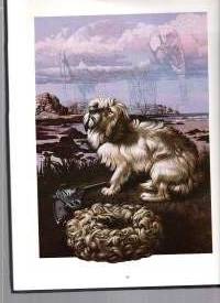 Agatha Cristie Cover Story