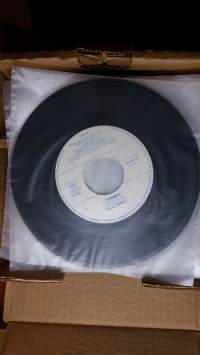 Single Tamara : Tumma tyttö, Sari : Kuutamo blues
