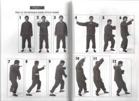 Tai Chi Chuan