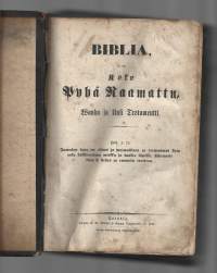 Biblia : se on koko Pyhä Raamattu,Raamattu (1871), suomi./ G. W. Wilénin ja kumpp. kirjapainossa : Turun pipliaseuran kustannuksella 1871.