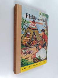 Elokuvakesä