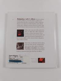 Talvipihan tunnelmia
