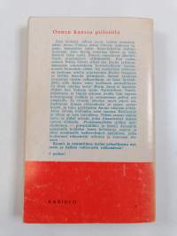 Onnen kanssa piilosilla