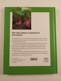 Pieni puutarha