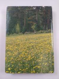 Mesimasu