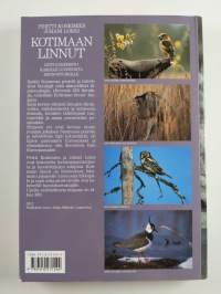 Kotimaan linnut