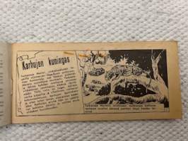 Viidakko 1962 nr 6 Karhujen kuningas