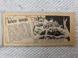 Viidakko 1960 nr 6 Viidakkoväylän jäljillä, Karhujen kuningas