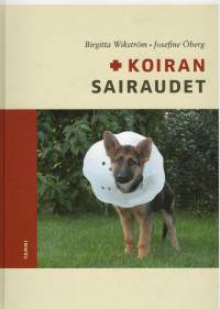 Koiran sairaudet