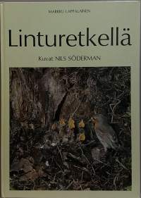 Linturetkellä. (Luontokuvakirja, linnut)