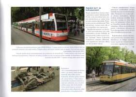 Mennäänkö metrolla ?  -Joukkoliikenteen uusi aika