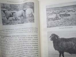 Kotieläinjalostuksen oppikirja