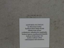 Ajatuksia elämään