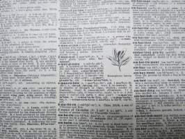 Webster&#039;s Encyclopedic Unabridged Dictionary of the English Language Deluxe Edition 1989