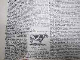 Webster&#039;s Encyclopedic Unabridged Dictionary of the English Language Deluxe Edition 1989