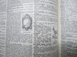 Webster&#039;s Encyclopedic Unabridged Dictionary of the English Language Deluxe Edition 1989