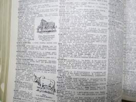 Webster&#039;s Encyclopedic Unabridged Dictionary of the English Language Deluxe Edition 1989