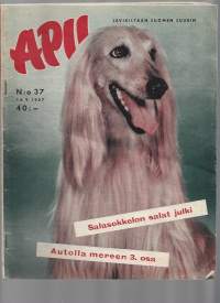 Apu 1957 nr 37 / Hyvää tahtoa maantiellä, Pipsa Pippurin &quot;isä&quot;, latotanssit, autolla mereen,