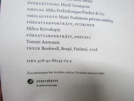 Fånge, spion, partisan - Matti Putkinen