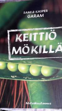 Keittiö mökillä