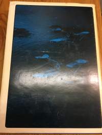 Suomen ilmavoimat 1918-1939