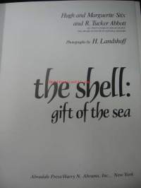 The shell: gift of the sea