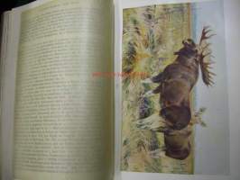 Brehms Tierleben. Allgemeine Kunde des Tierreichs. Säugetiere. 13 Band