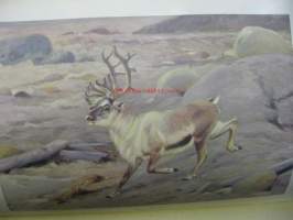 Brehms Tierleben. Allgemeine Kunde des Tierreichs. Säugetiere. 13 Band