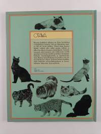 Kissojen kirja