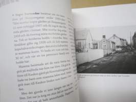 Skata - Stugor och drömhus i 1900-talets Jakobstad