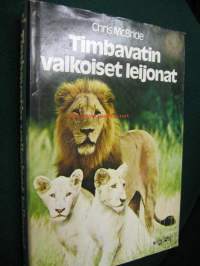 Timbavatin valkoiset leijonat