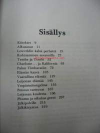 Timbavatin valkoiset leijonat
